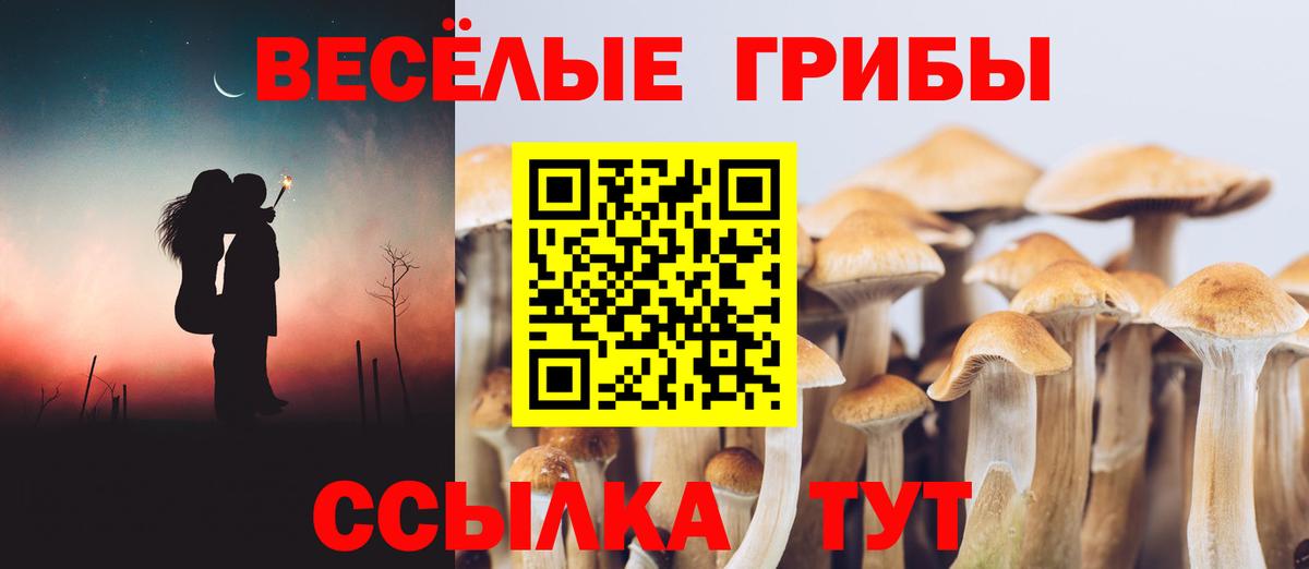 Псилоцибиновые грибы GOLDEN TEACHER  Галлюциногенные грибы прущие грибы  Вход с VPN  Дзержинский 